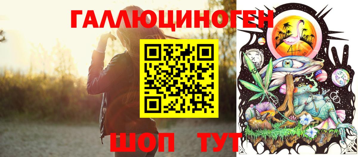 Галлюциногенные грибы Psilocybe Ивантеевка