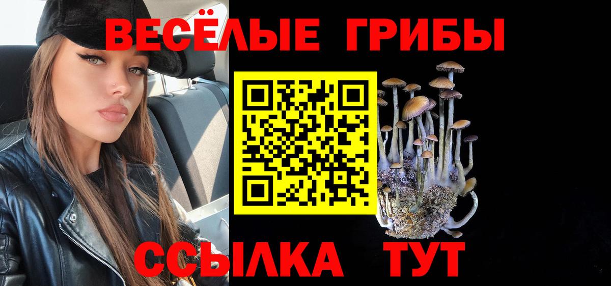 Ивантеевка  Галлюциногенные грибы ЛСД  Вход с VPN 